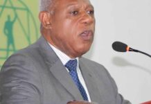 Dimite el presidente de la Academia de Ciencias de la República Dominicana